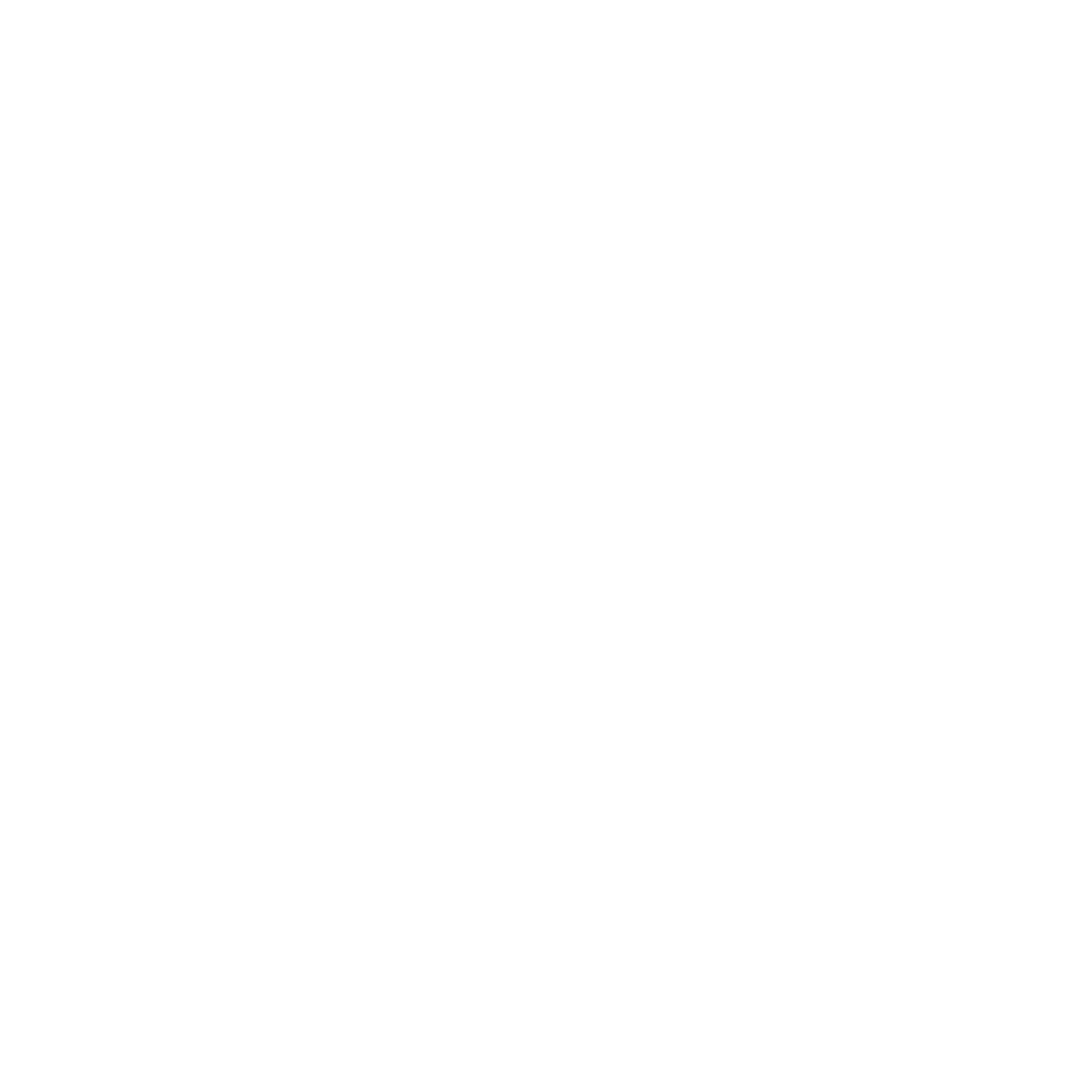 Express Logo 2022